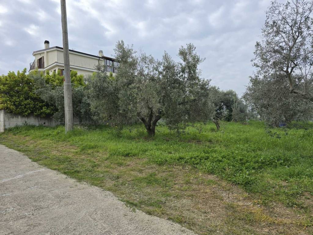 Terreno a Vasto - Foto 5