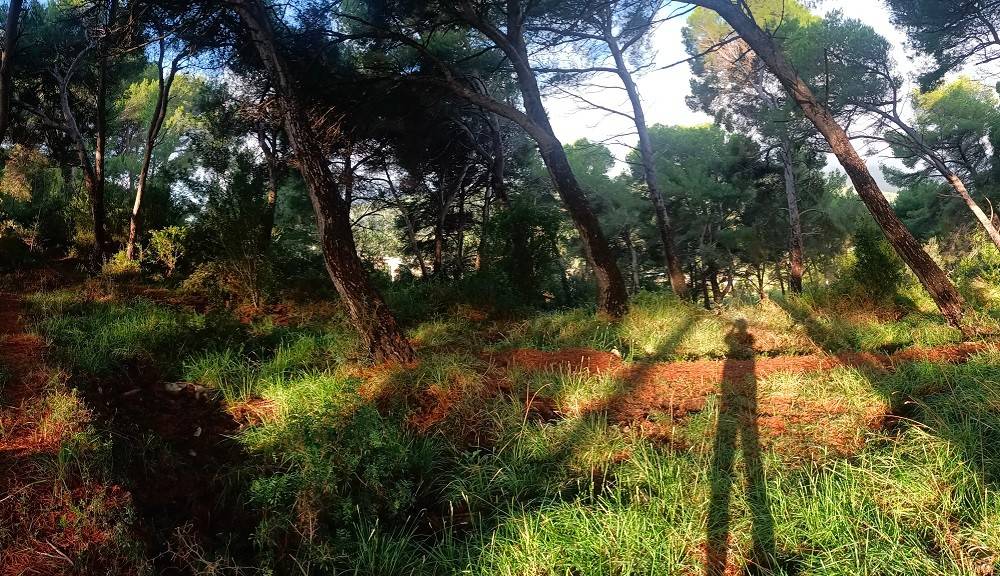 Terreno a Cervo in Località Poggio - Foto 4