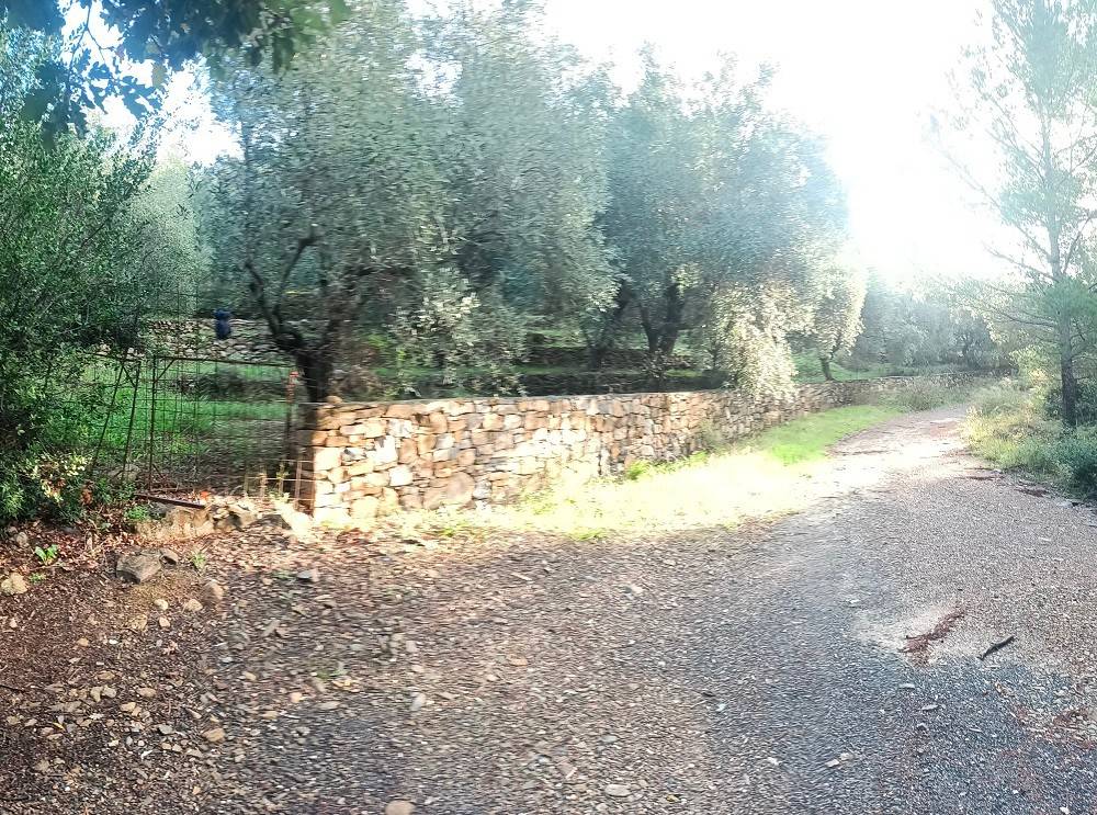 Terreno a Cervo in Località Poggio - Foto 5