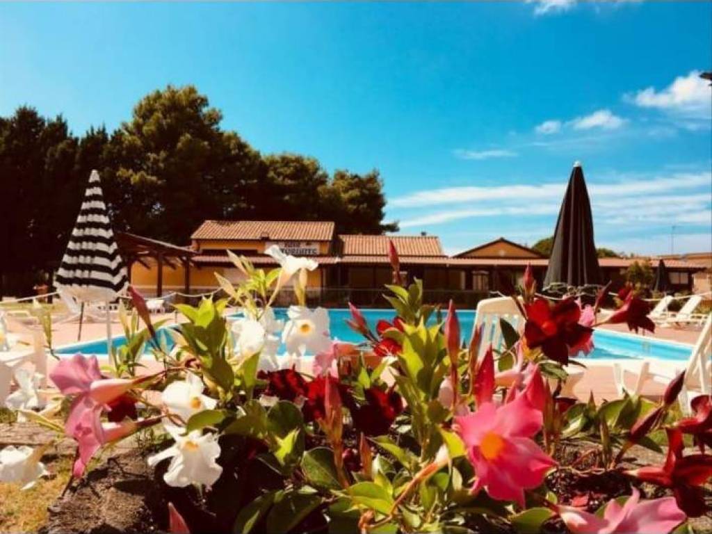 Appartamento a Drapia in Contrada Fazzari - Foto 2