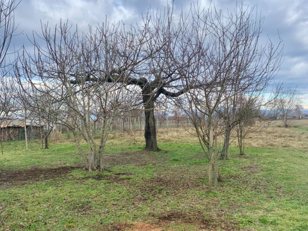 Villa a San vito al tagliamento in Viale di Mezzo, 34 - Foto 4