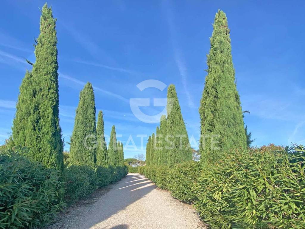 Rustico / casale a Cortona - Foto 3