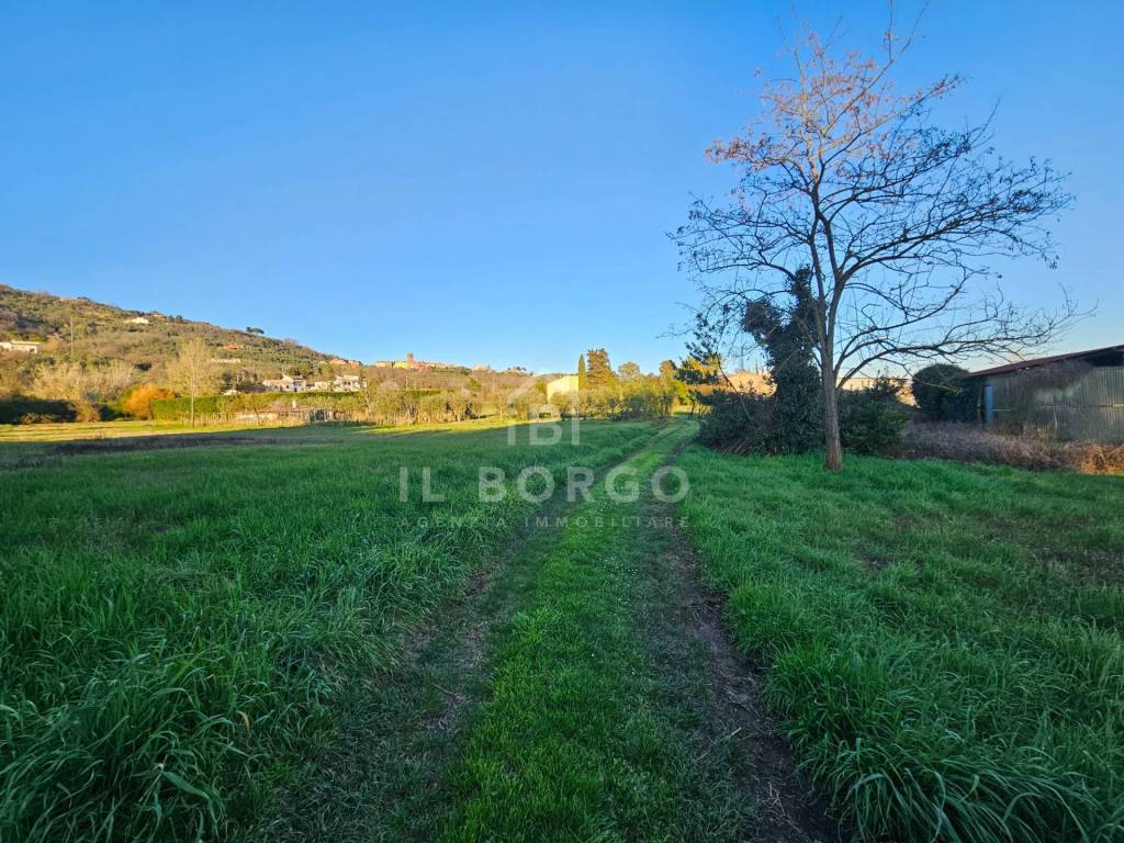 Terreno a Buggiano in via donatello - Foto 2