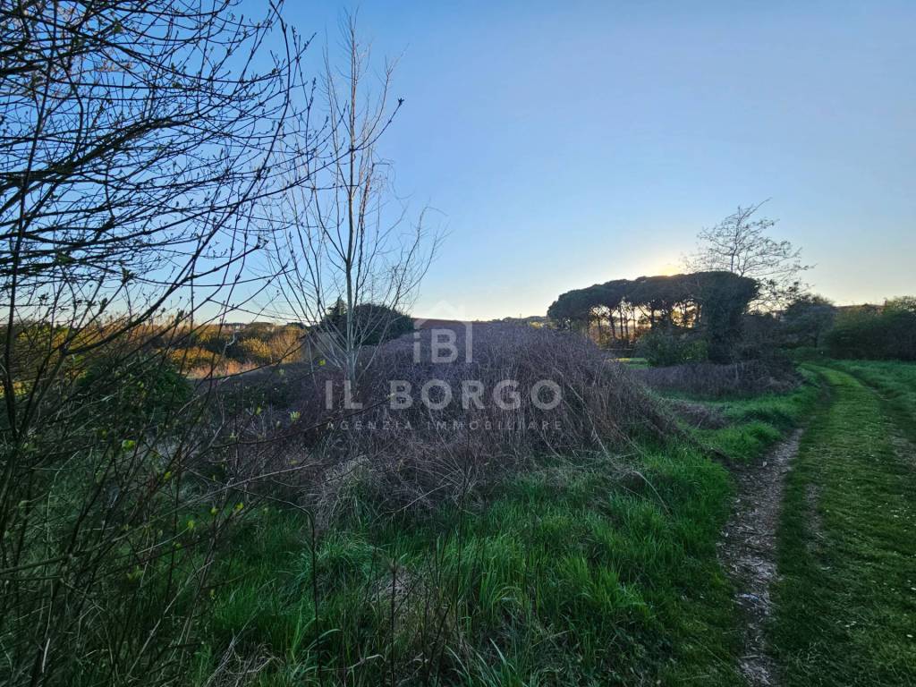 Terreno a Buggiano in via donatello - Foto 4