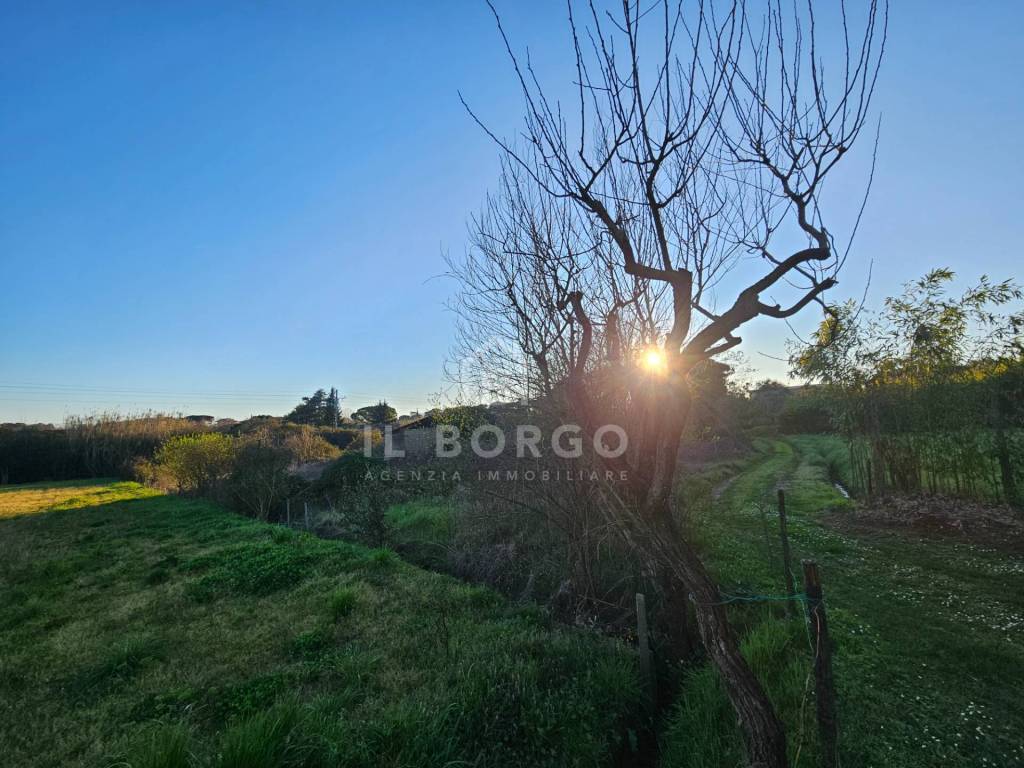 Terreno a Buggiano in via donatello - Foto 5