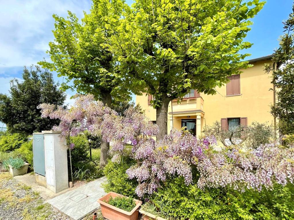 Appartamento a Medicina in Via Fiorentina - Foto 3