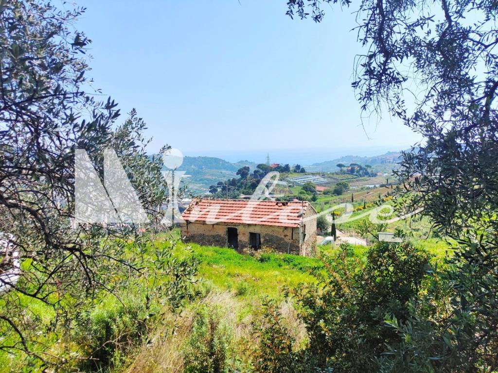 Rustico / casale a Sanremo in SP55, 307 - Foto 4