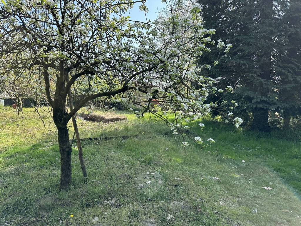 Terreno a Golasecca in Via Matteotti - Foto 5