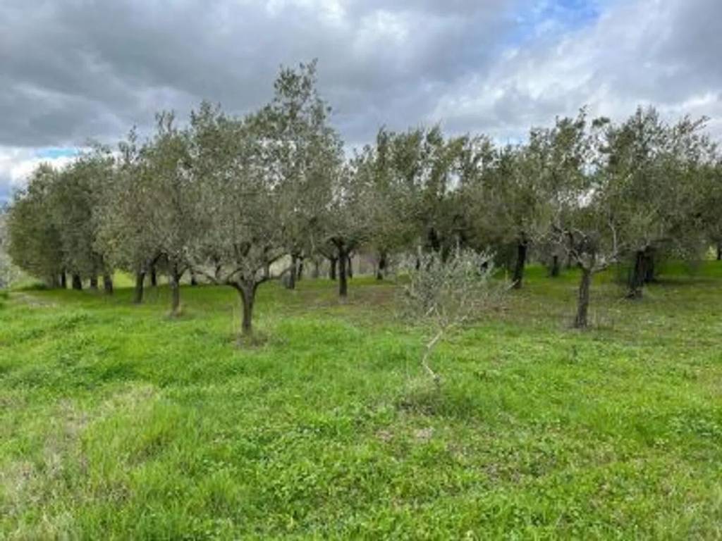 Terreno a Benevento in Contrada San Chirico S.N.C. - Foto 2