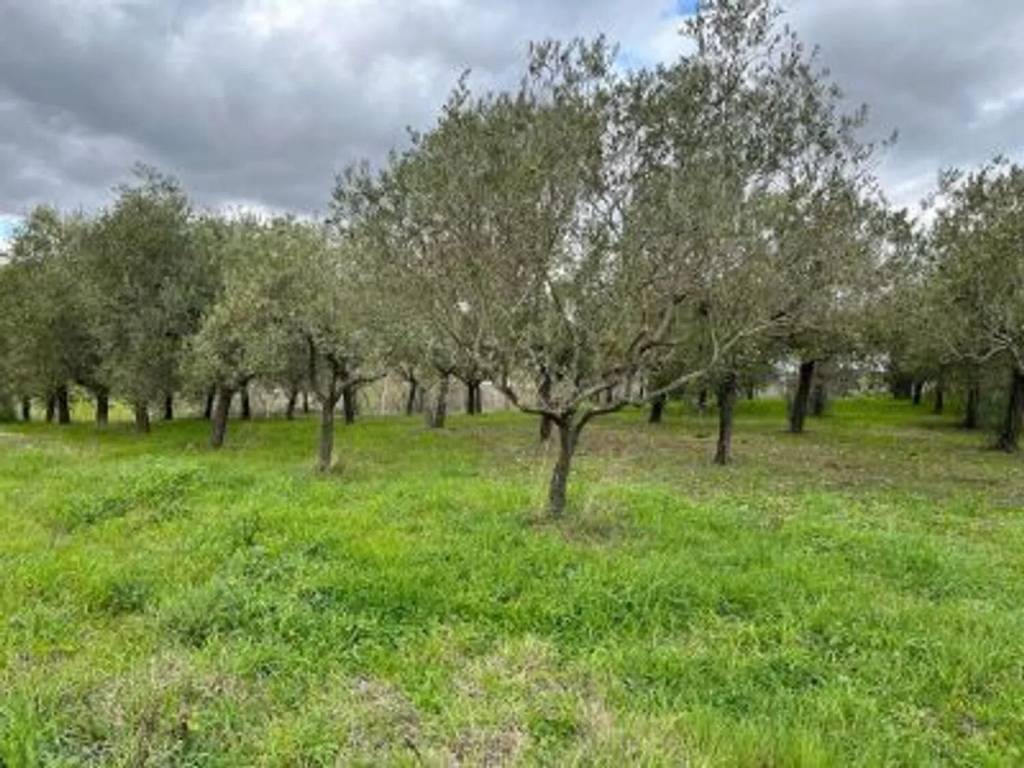 Terreno a Benevento in Contrada San Chirico S.N.C. - Foto 3
