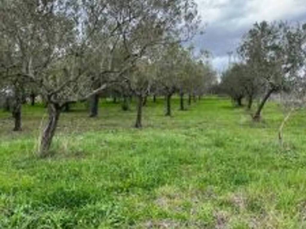 Terreno a Benevento in Contrada San Chirico S.N.C. - Foto 4