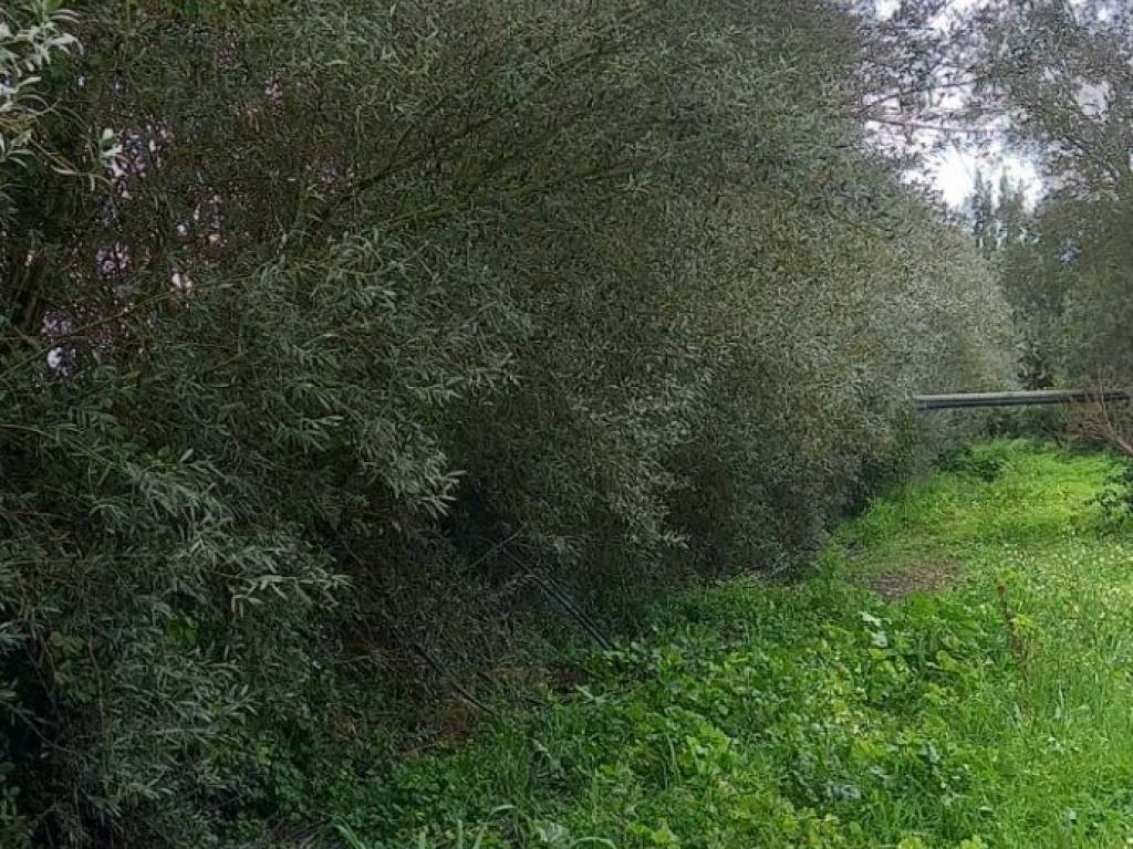 Terreno a San sperate in BIA GUTTURADROXIU - Foto 2