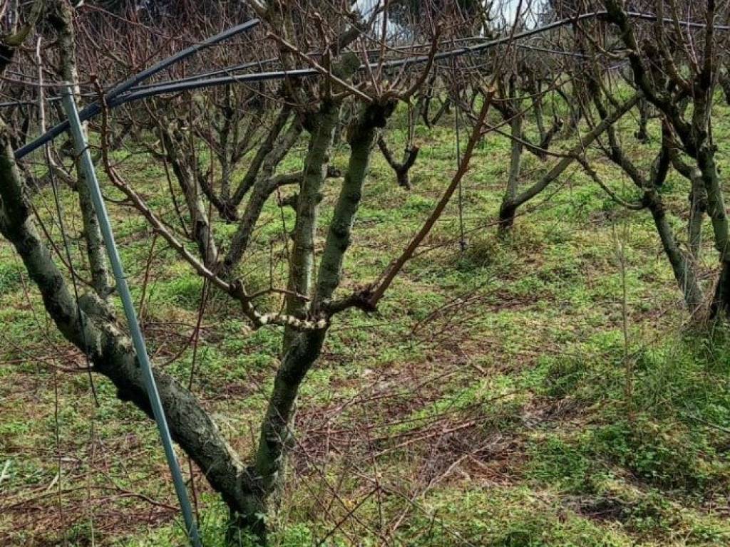 Terreno a San sperate in BIA GUTTURADROXIU - Foto 3