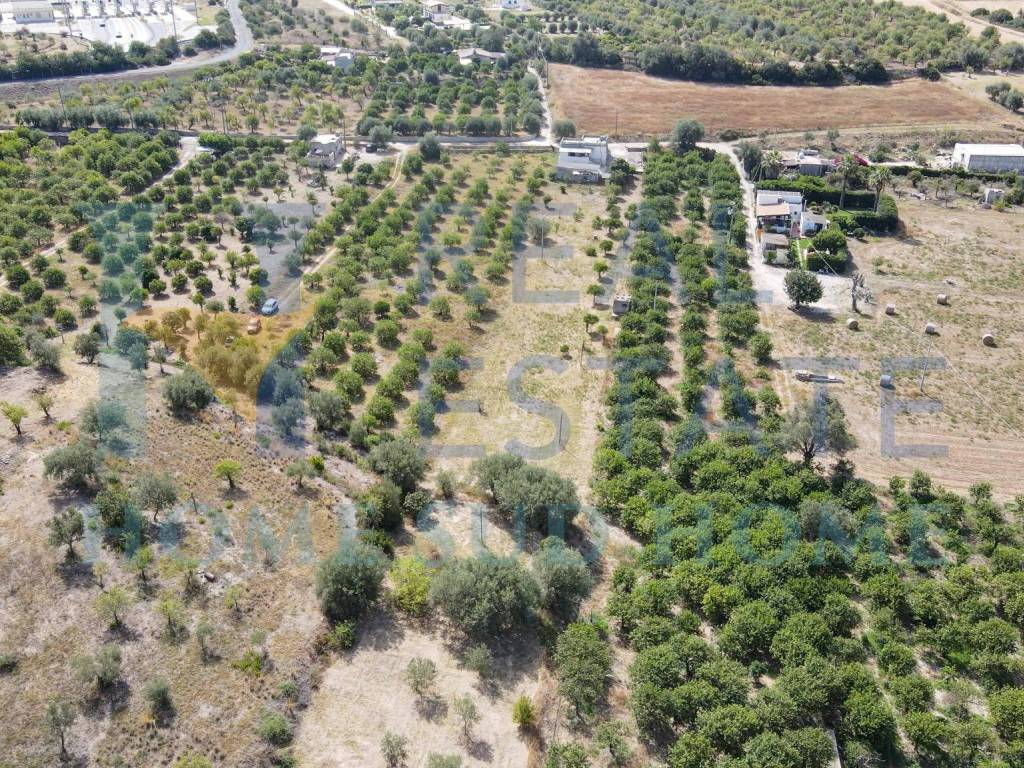 Terreno a Noto in Via Tommaso Fazello, 228 - Foto 4