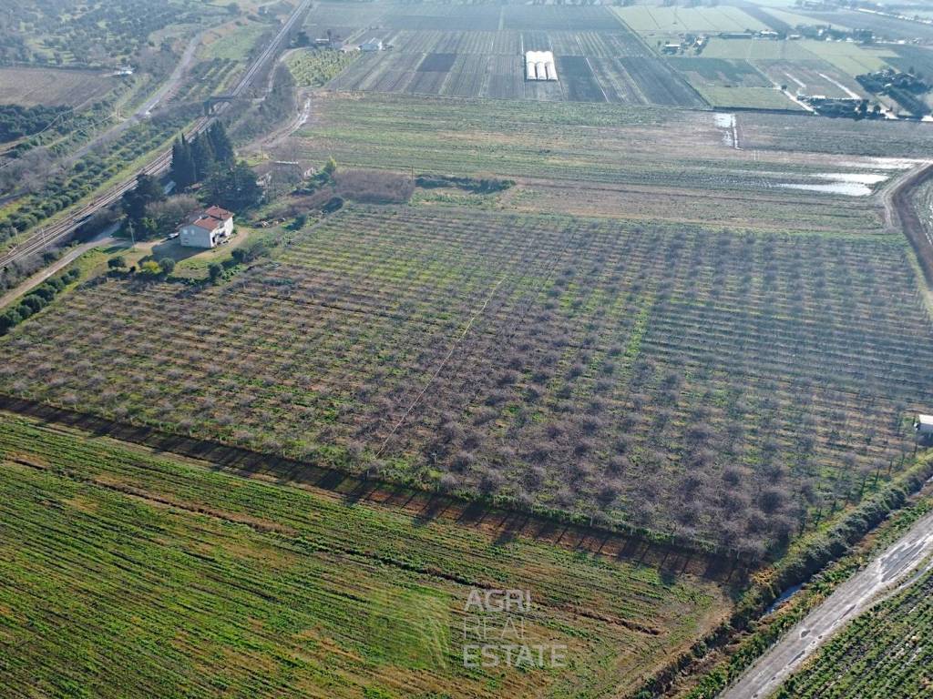 Terreno a Sezze in Via del Pesce - Foto 2