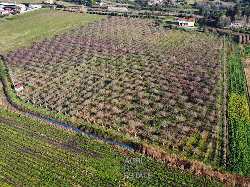 Terreno a Sezze in Via del Pesce - Foto 3