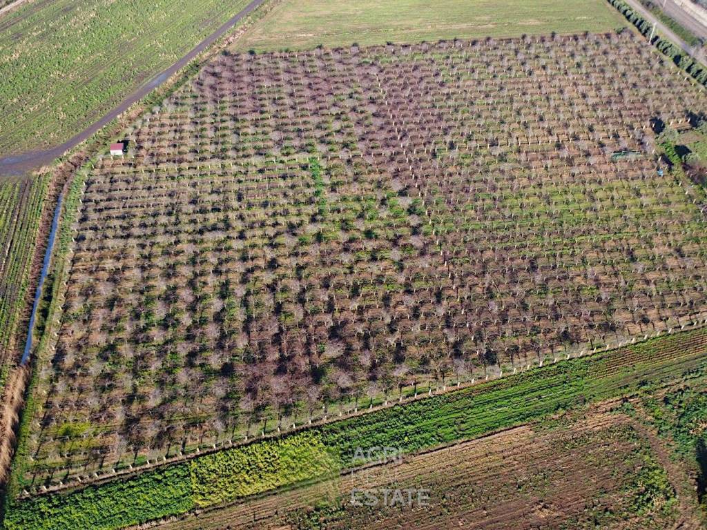 Terreno a Sezze in Via del Pesce - Foto 4