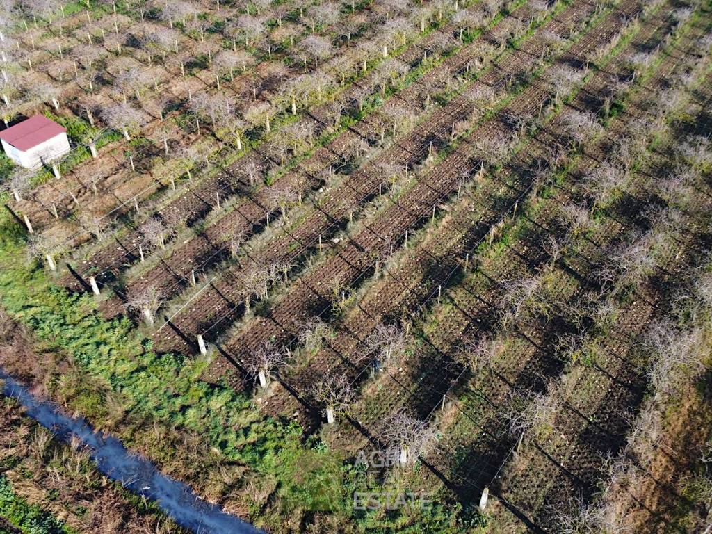 Terreno a Sezze in Via del Pesce - Foto 5