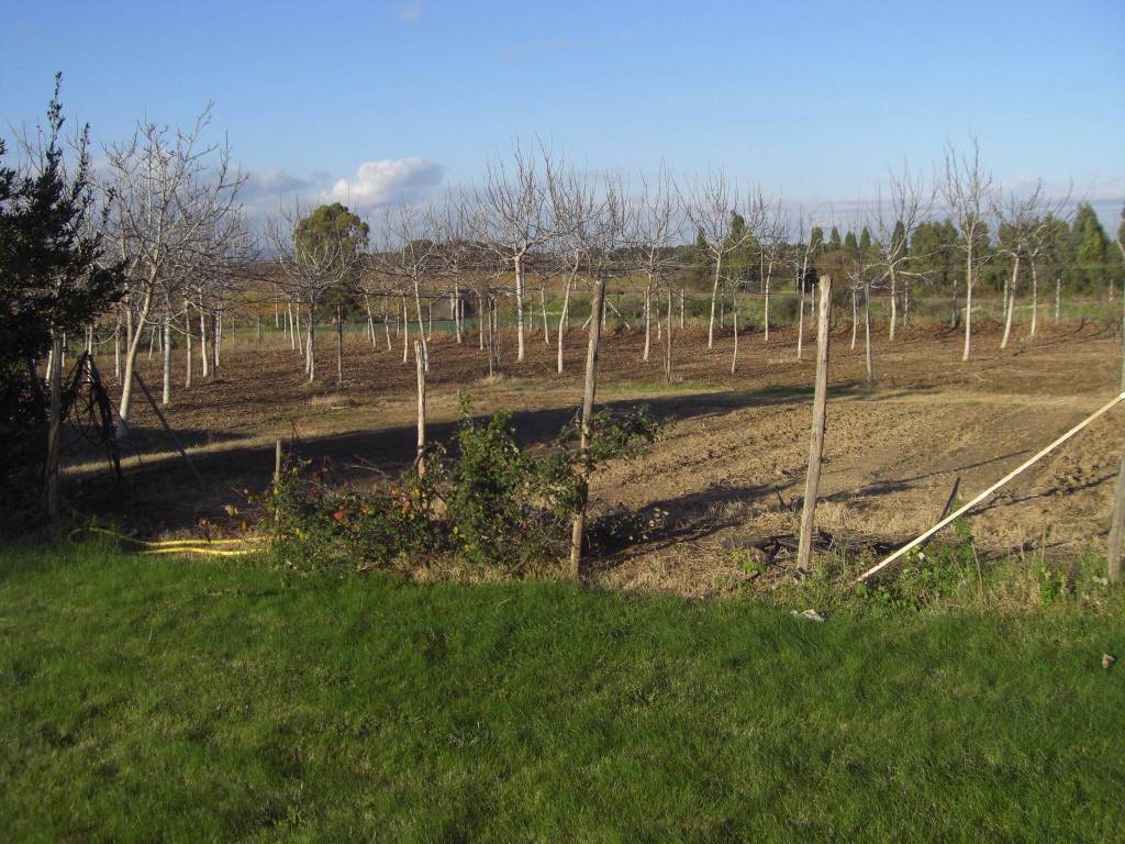 Villa a Tarquinia in Strada Provinciale Litoranea, 5 - Foto 4
