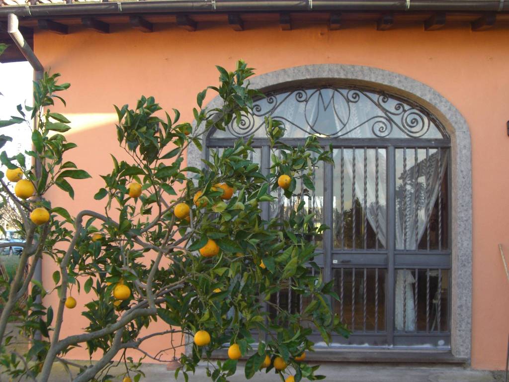 Villa a Tarquinia in Strada Provinciale Litoranea, 5 - Foto 5