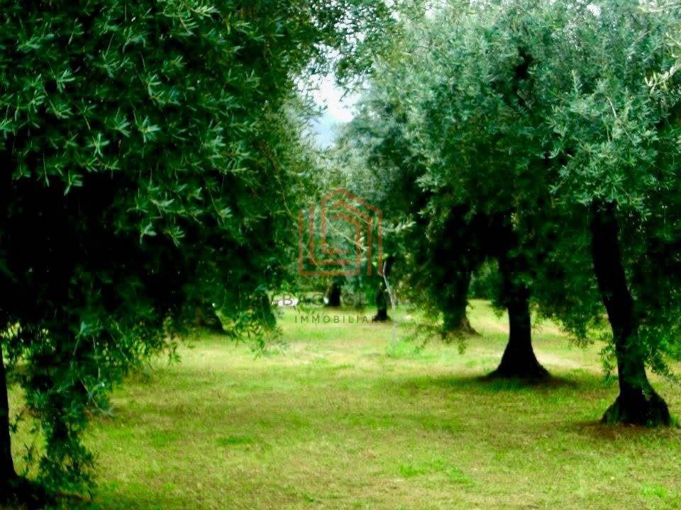 Terreno a Sermoneta - Foto 4