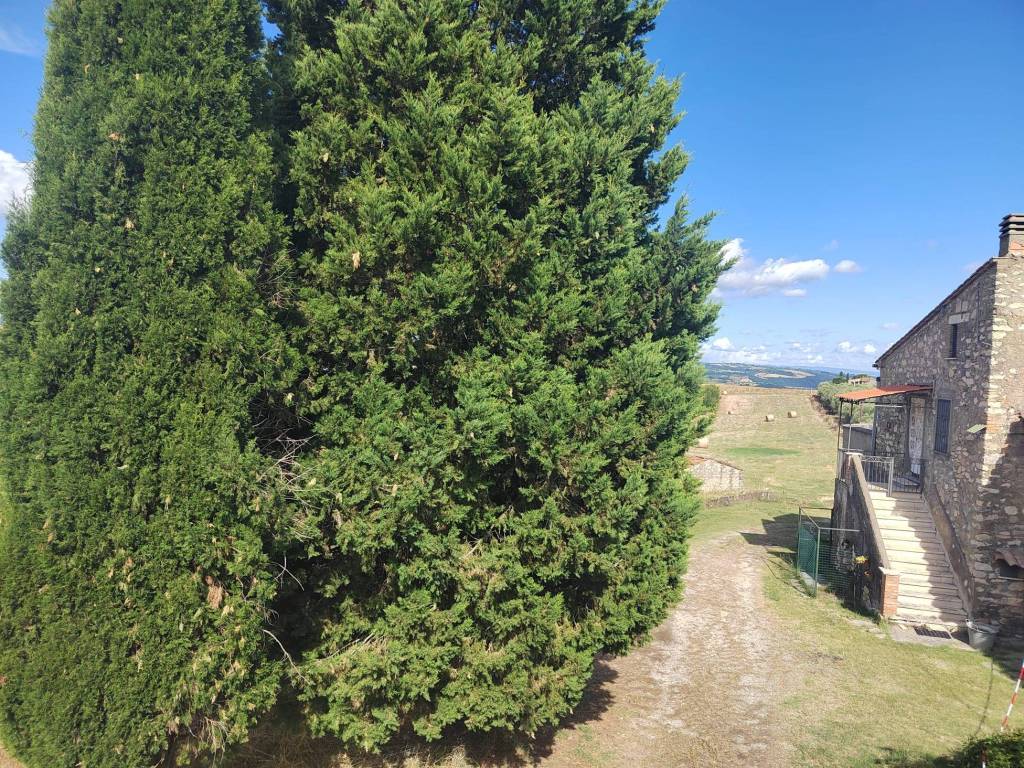 Rustico / casale a Guardea in Località Carignano - Foto 5