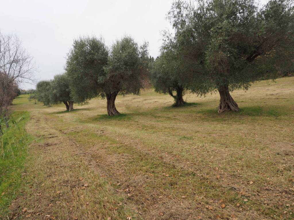 Terreno a Corridonia in Contrada Cappuccini Vecchi, 23 - Foto 5