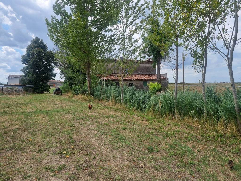 Rustico / casale a Bondeno in Via Argine Cagnetto - Foto 4