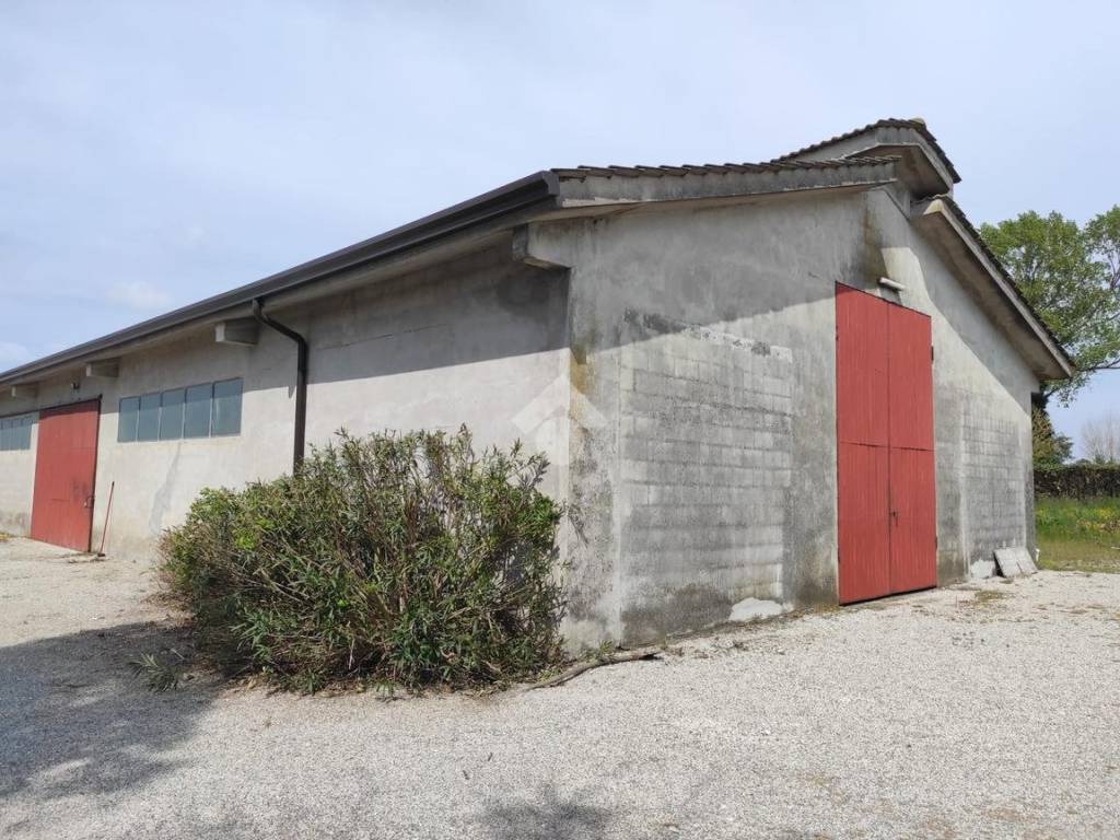 Immobile a Correzzola in Via san giuseppe, 11 - Foto 2