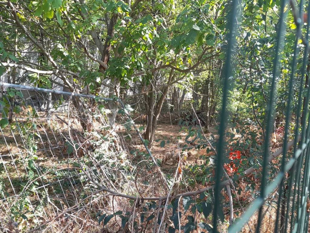 Terreno a Mantova in Strada Madonnina No Number - Foto 2