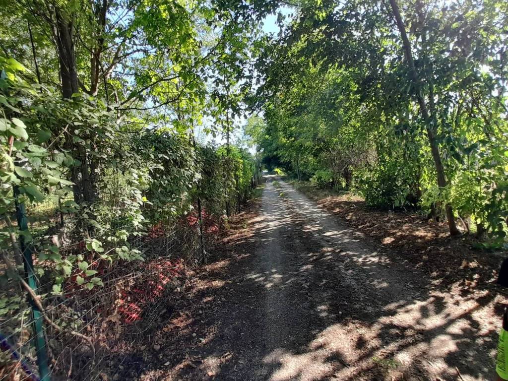 Terreno a Mantova in Strada Madonnina No Number - Foto 4