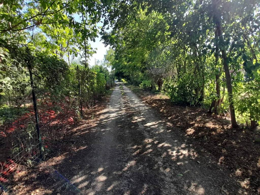 Terreno a Mantova in Strada Madonnina No Number - Foto 5