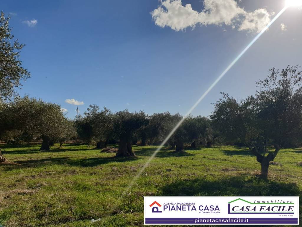 Terreno a Matera in Contrada Giardinelle - Foto 2