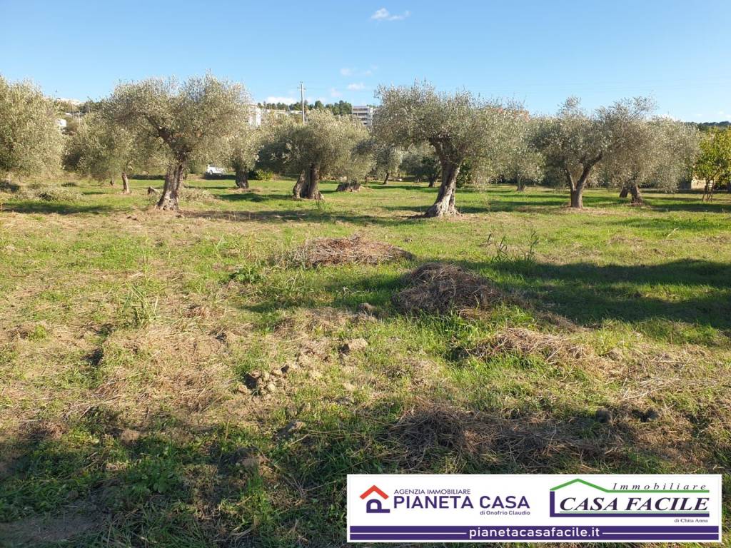 Terreno a Matera in Contrada Giardinelle - Foto 3