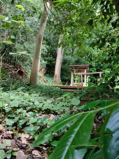 Terreno a Baone in via roma - Foto 4