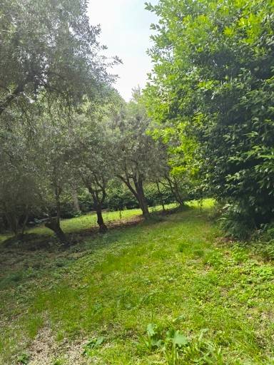 Terreno a Baone in via roma - Foto 5