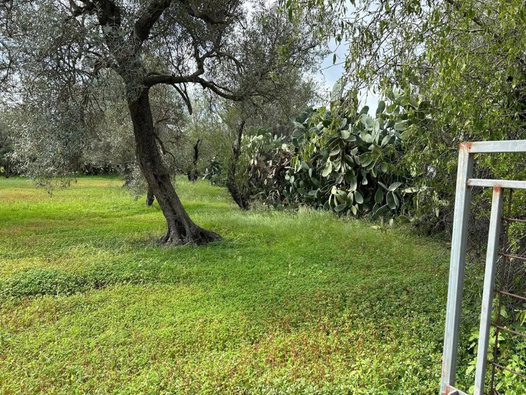 Terreno a Siderno in Via Campo Inferiore No Number - Foto 2
