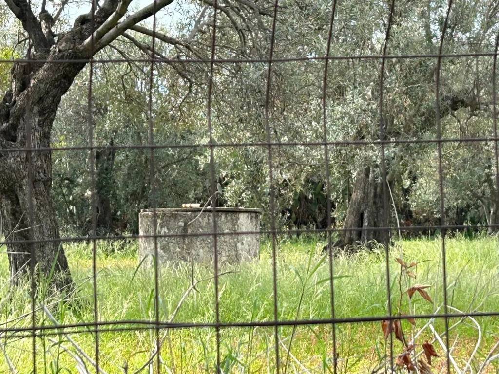 Terreno a Siderno in Via Campo Inferiore No Number - Foto 3