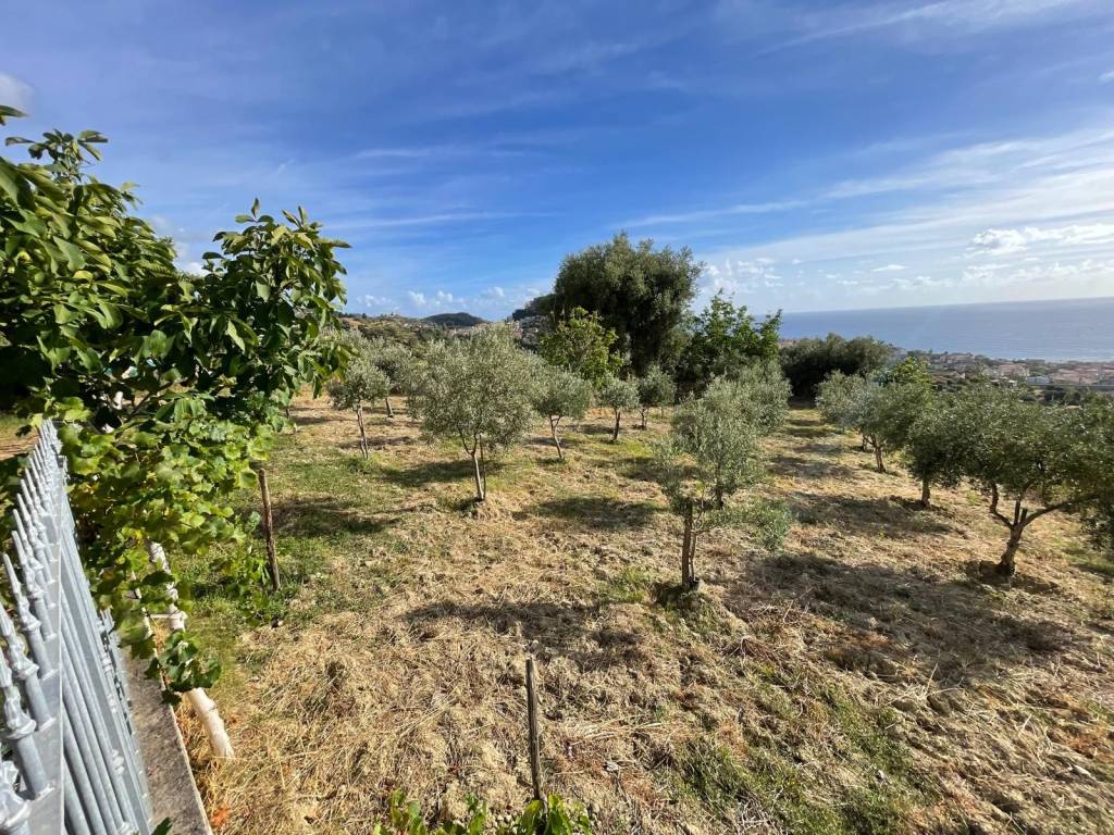 Villa a Belvedere marittimo in Via Rocca - Foto 4