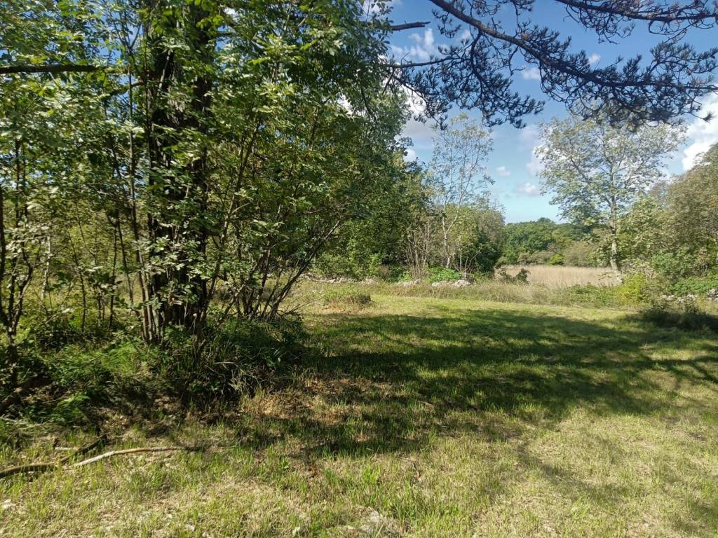 Terreno a Monrupino in Località Fernetti - Foto 2