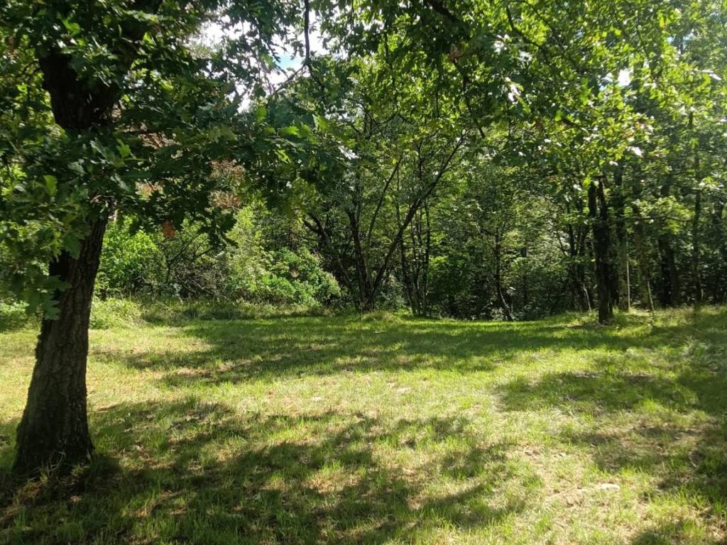 Terreno a Monrupino in Località Fernetti - Foto 3