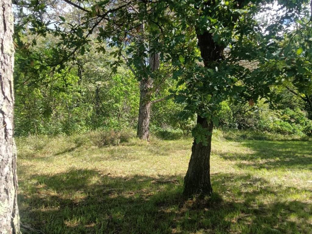 Terreno a Monrupino in Località Fernetti - Foto 5