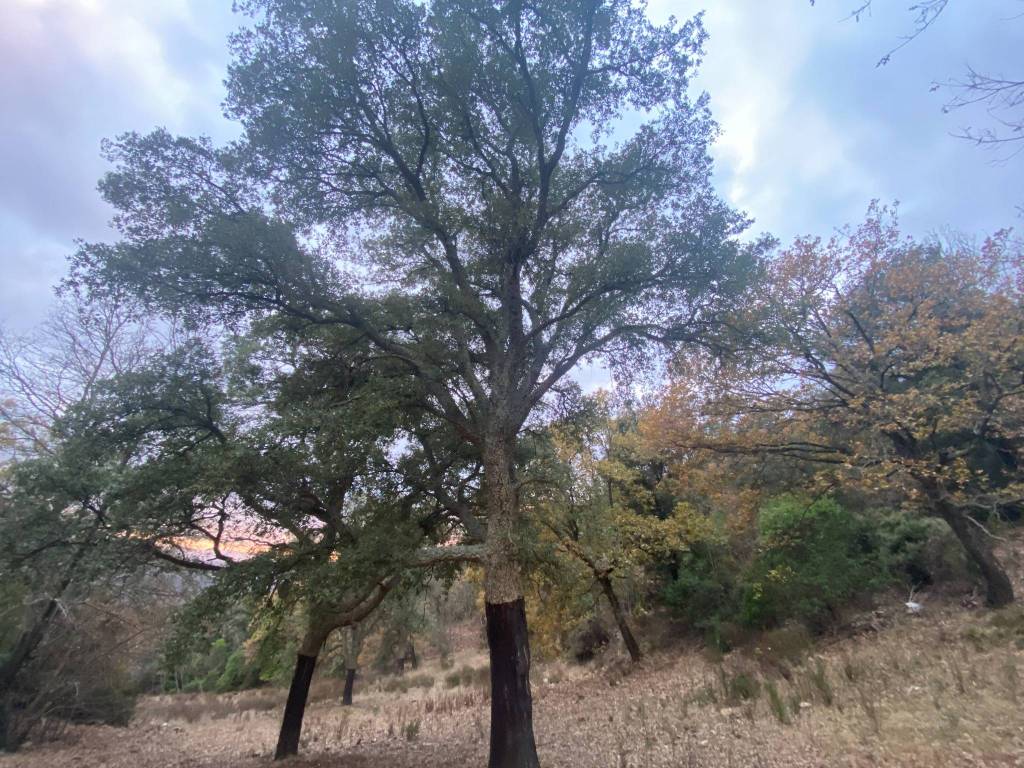 Rustico / casale a Castelnuovo di val di cecina in Località I Prati - Foto 3