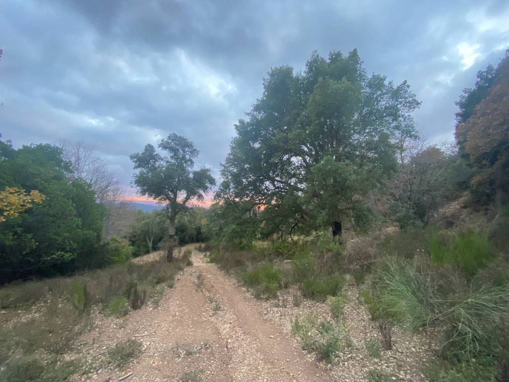 Rustico / casale a Castelnuovo di val di cecina in Località I Prati - Foto 5