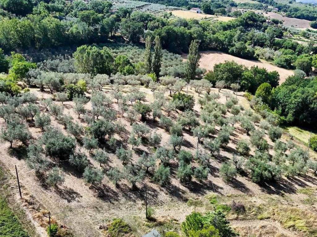 Villa a Assisi in Via Rocca Sant'Angelo - Foto 4