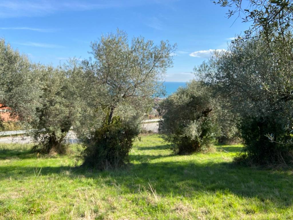 Terreno a Silvi in Strada Provinciale di Atri - Foto 3