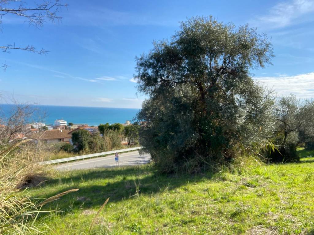 Terreno a Silvi in Strada Provinciale di Atri - Foto 4