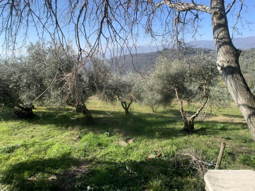 Casa indipendente a Pistoia in Via di Germinaia, 26 - Foto 2