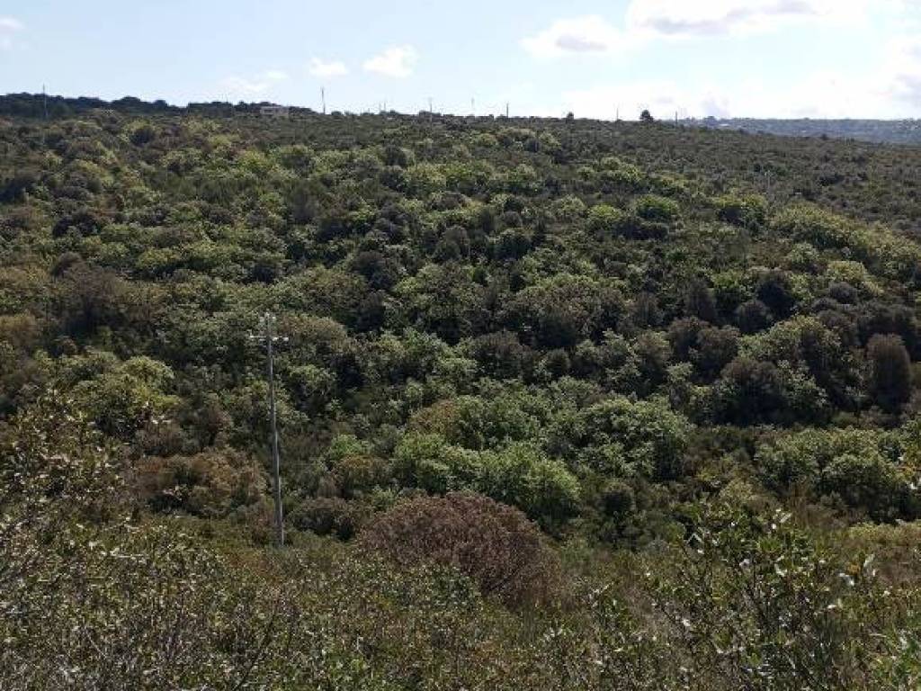 Terreno a Sassari in Strada Vicinale Logulentu Badde Tolta - Foto 2