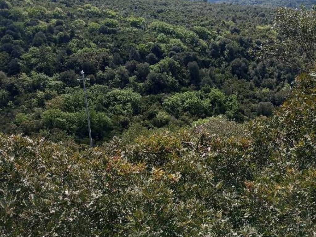 Terreno a Sassari in Strada Vicinale Logulentu Badde Tolta - Foto 3